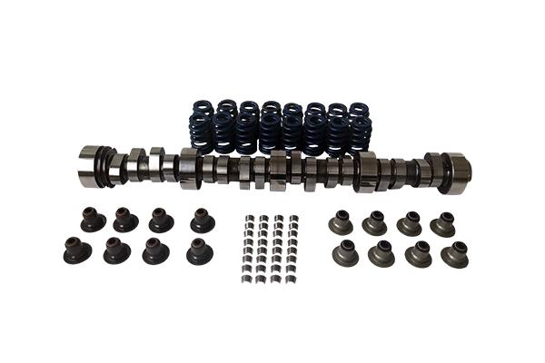 1-LS CAM,16VALVE SPRINGS, 32 KEEPERS &16 SEALS NATURALLY