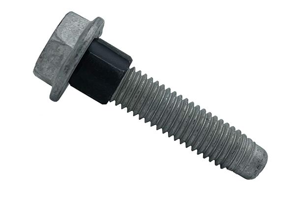 Chain Tensioner Bolt (OE),OE#11519681 