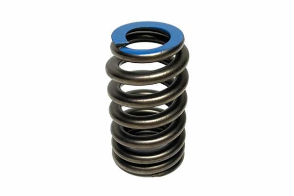 LT Valve Spring (BLUE TOP) OE#12691120