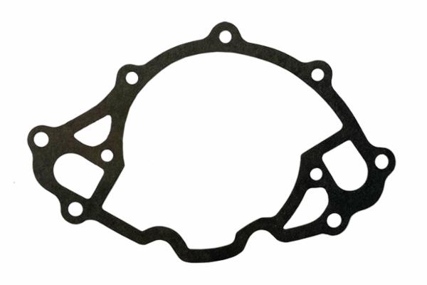 Water Pump Gasket TW6600L 