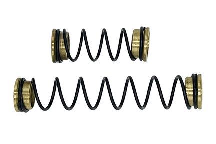 Automotive Spring Set, 2 Piece 