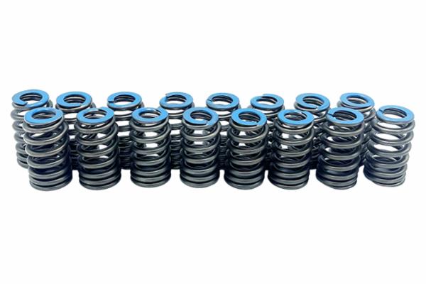 Gen5 6.2L LT Valve Springs"Blue Top" GM 12691120 (16 Pack)