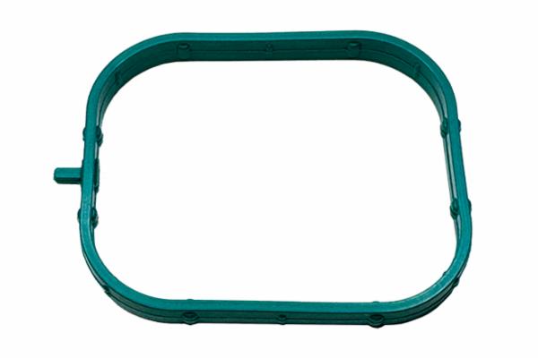 Intake Manifold Gasket 